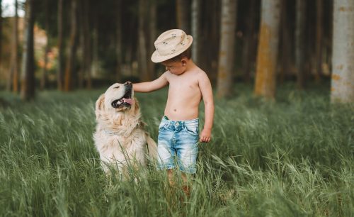 Boy and Dog in Fresh Air